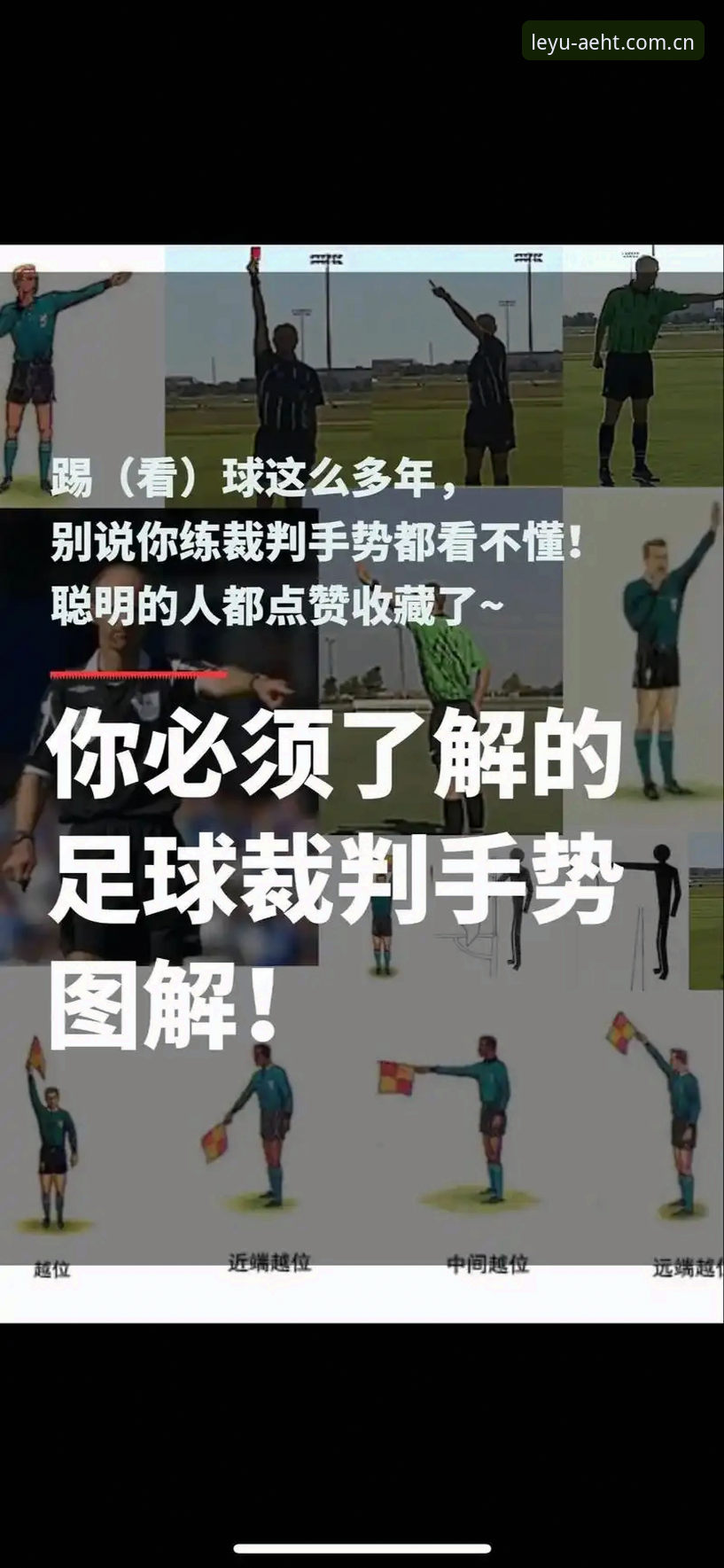 乐鱼APP安卓版下载 揭秘世界杯裁判的“屏蔽力”:为什么一个吹哨的敢说“球迷让我坐牢也没用”?